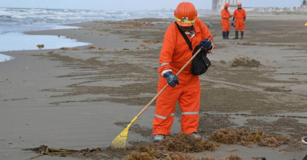 b15135af9cdd4236a67b333d2ffb3122