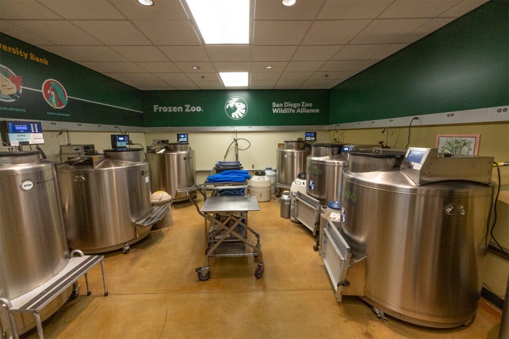 b8cfc04b2f354acb999d254cf1e9b83f