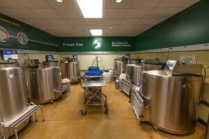 b8cfc04b2f354acb999d254cf1e9b83f