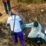 c42e0959f74e4cefaa02d7a8c52fb62a