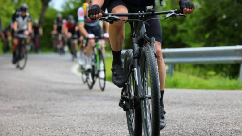 cbab02d89f014b3c8d352925dc9e261e