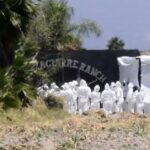 d2bd434efa5e4ceda64eecff9bd04eec