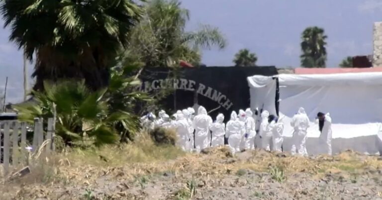 d2bd434efa5e4ceda64eecff9bd04eec