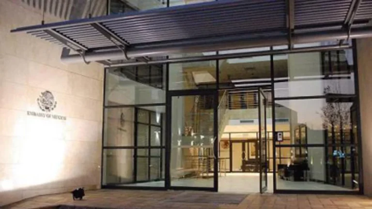 e537f1a79e6b4503aaf3866b5682f666