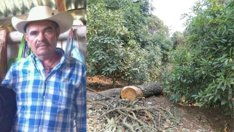 e85ed17a7f6b41f69c9faf6d6fc3cd80