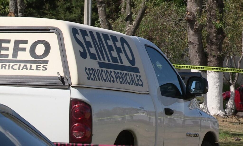 e9bb9065c6b44372a945b69e800eaf2e