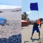 ebb264649a004c4797b02ac2f9b89f86