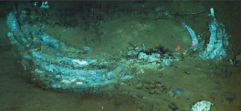 2af9d1a8085c4f9cb9d99252744bc5ba